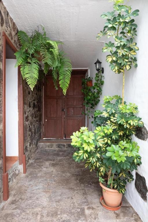 Casa Canaria Acero Garachico  Zewnętrze zdjęcie